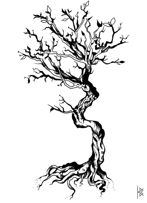 Bonsai Tree Illustration