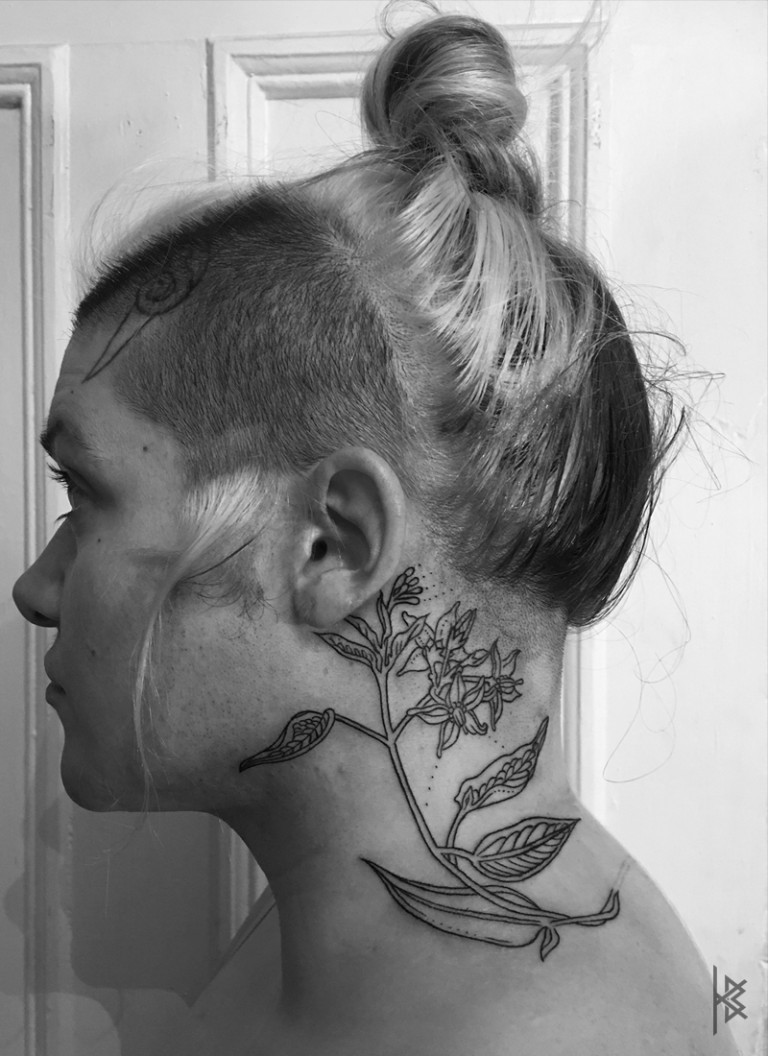 BITTERSWEET NIGHTSHADE