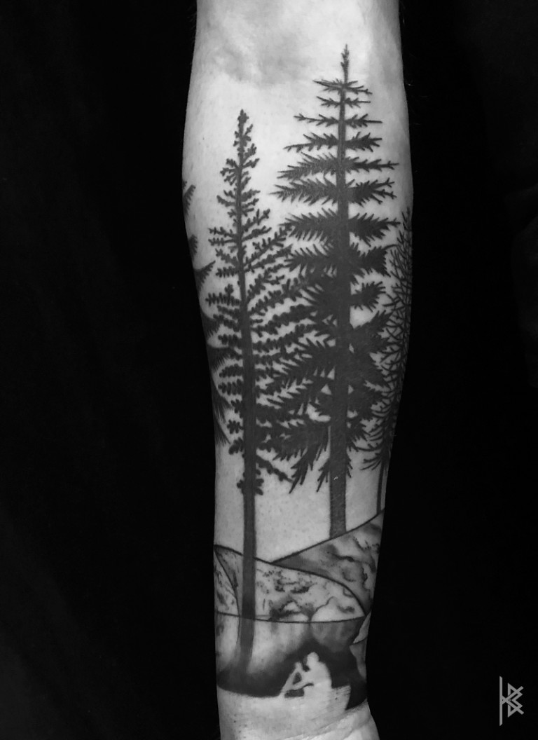 CONIFEROUS DREAMSCAPE