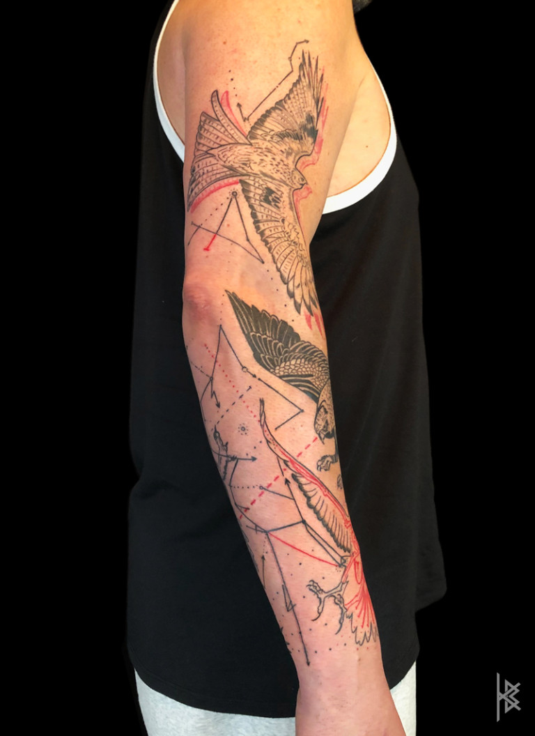 BIRDS OF PREY KINETIC FLIGHT PATTERNS